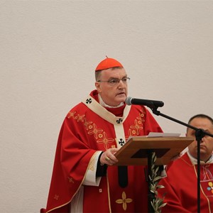 Uvod i homilija kardinala Bozanića na Nedjelju Muke Gospodnje - Cvjetnicu